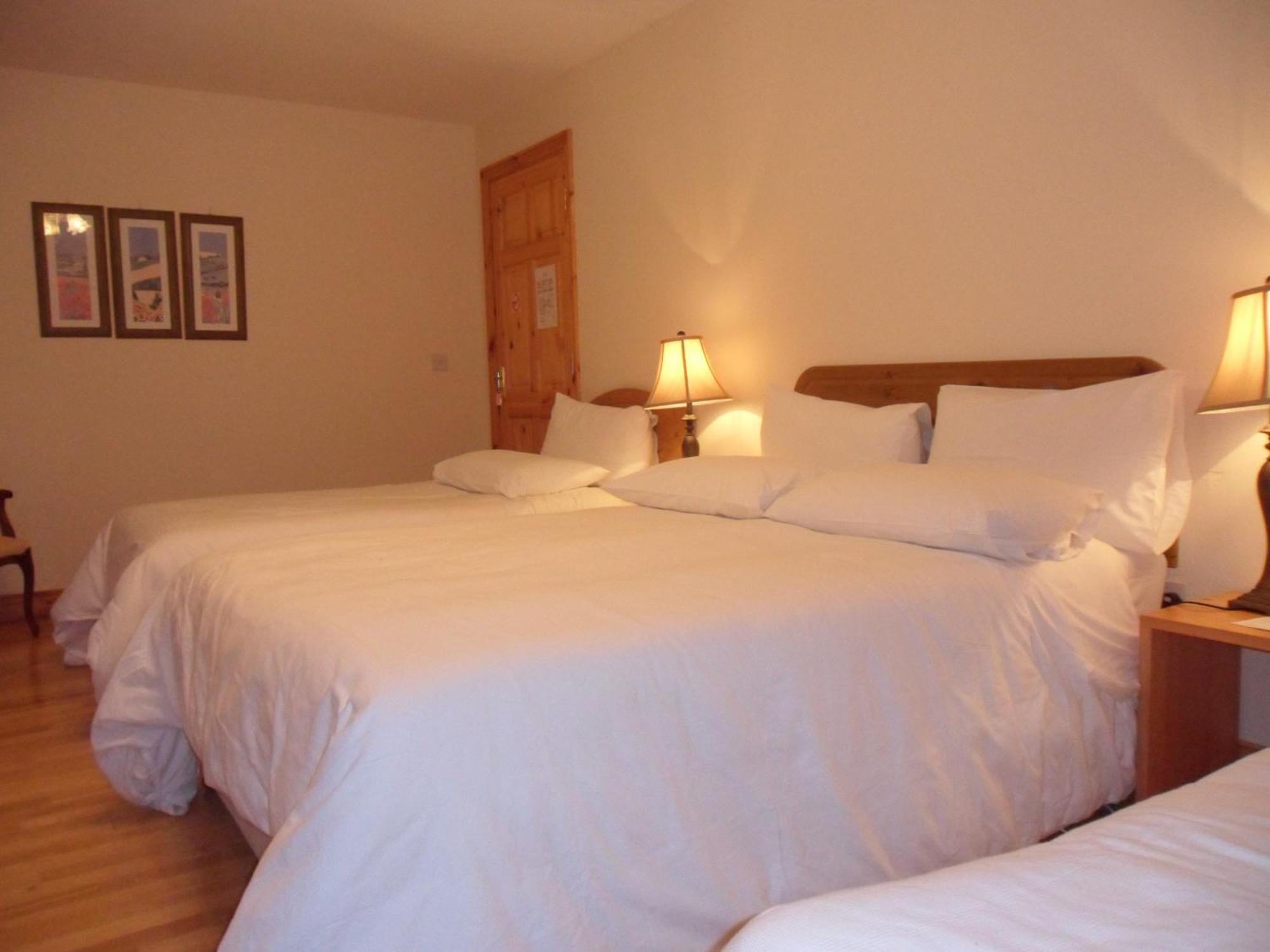 Forest Park House B&B Boyle Kültér fotó